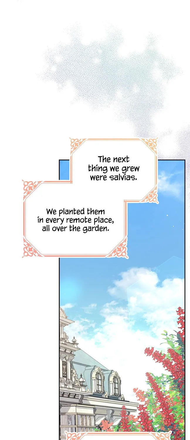 Read My Dear Aster chapter 45 image 54 on Lezhin