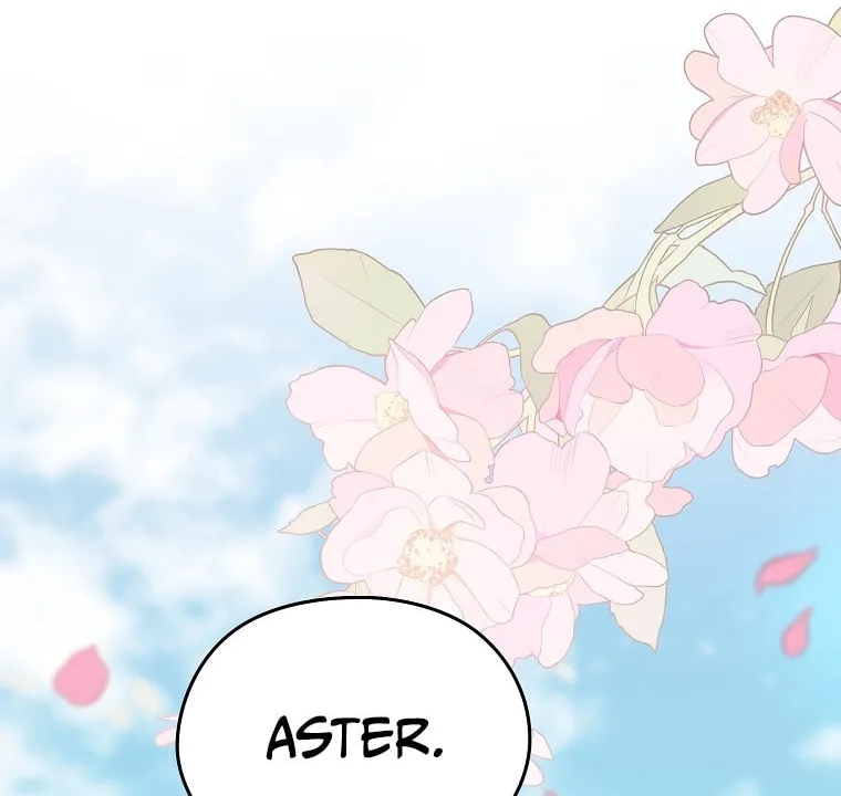 Read My Dear Aster chapter 70 image 71 on Lezhin