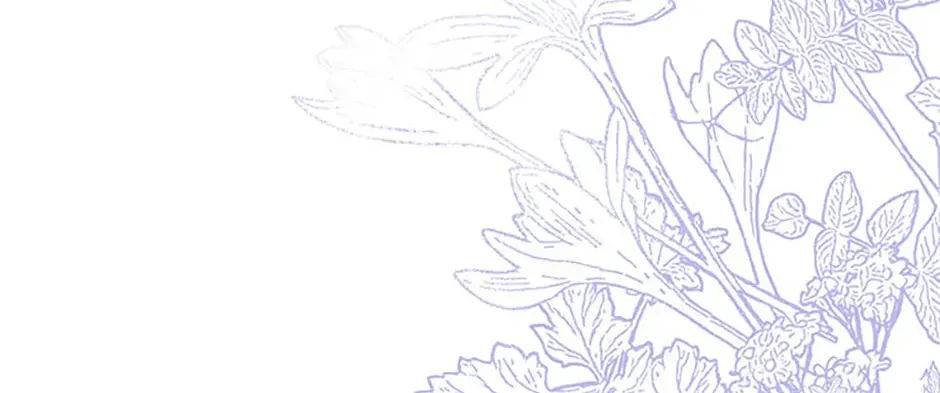 My Dear Tyrant (Gundubu) Chapter 51 page 4 - 