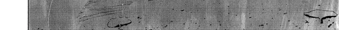Read My Dearest Self With Malice Aforethought chapter 1 image 87 on Lezhin