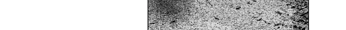 Read My Dearest Self With Malice Aforethought chapter 63 image 25 on Lezhin