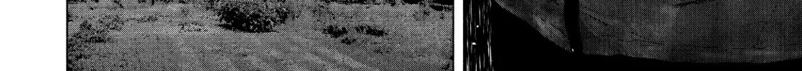 Read My Dearest Self With Malice Aforethought chapter 73 image 27 on Lezhin
