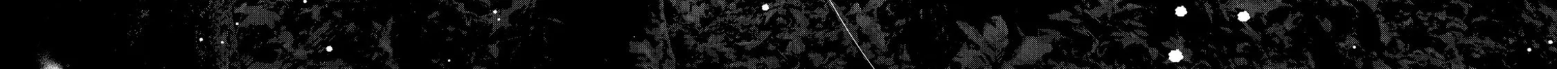 Read My Dearest Self With Malice Aforethought chapter 75 image 23 on Lezhin