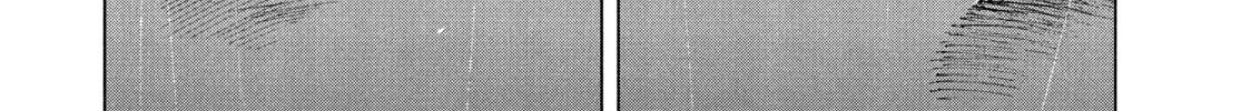 Read My Dearest Self With Malice Aforethought chapter 75 image 7 on Lezhin