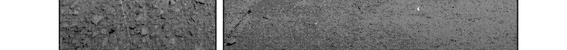 Read My Dearest Self With Malice Aforethought chapter 88 image 31 on Lezhin