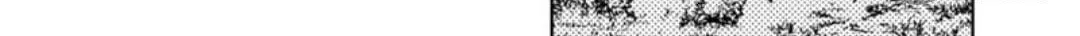 My Death Flags Show No Sign of Ending Chapter 80 page 38 - 