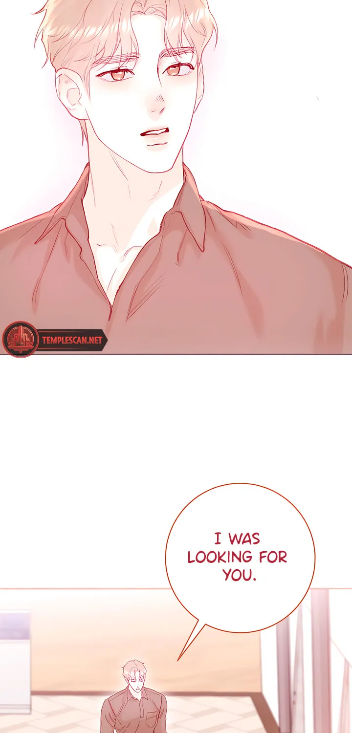 Read My Demon chapter 31 image 18 on Lezhin