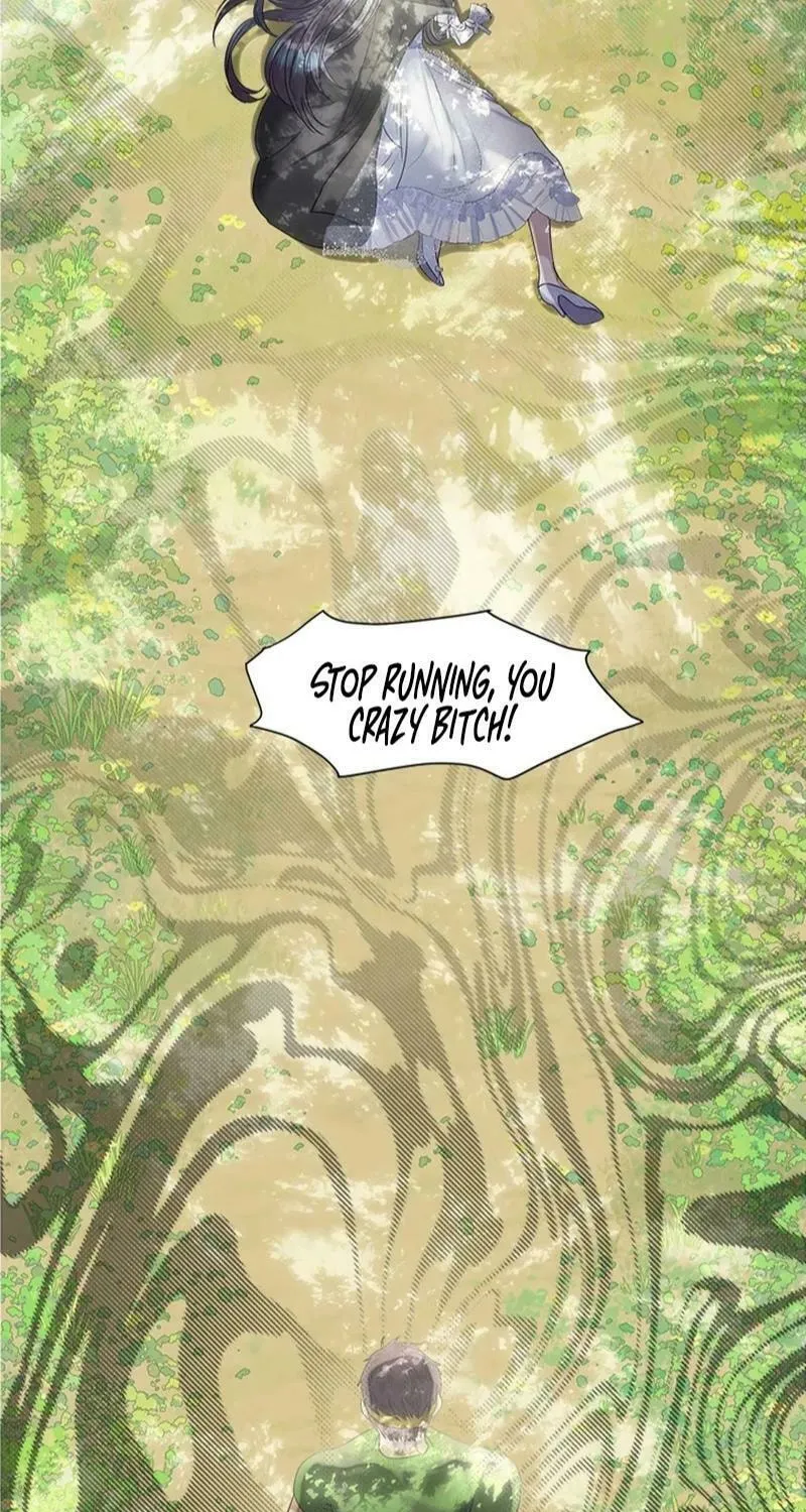 My Destiny, I Want It Back Chapter 13 page 5 - 