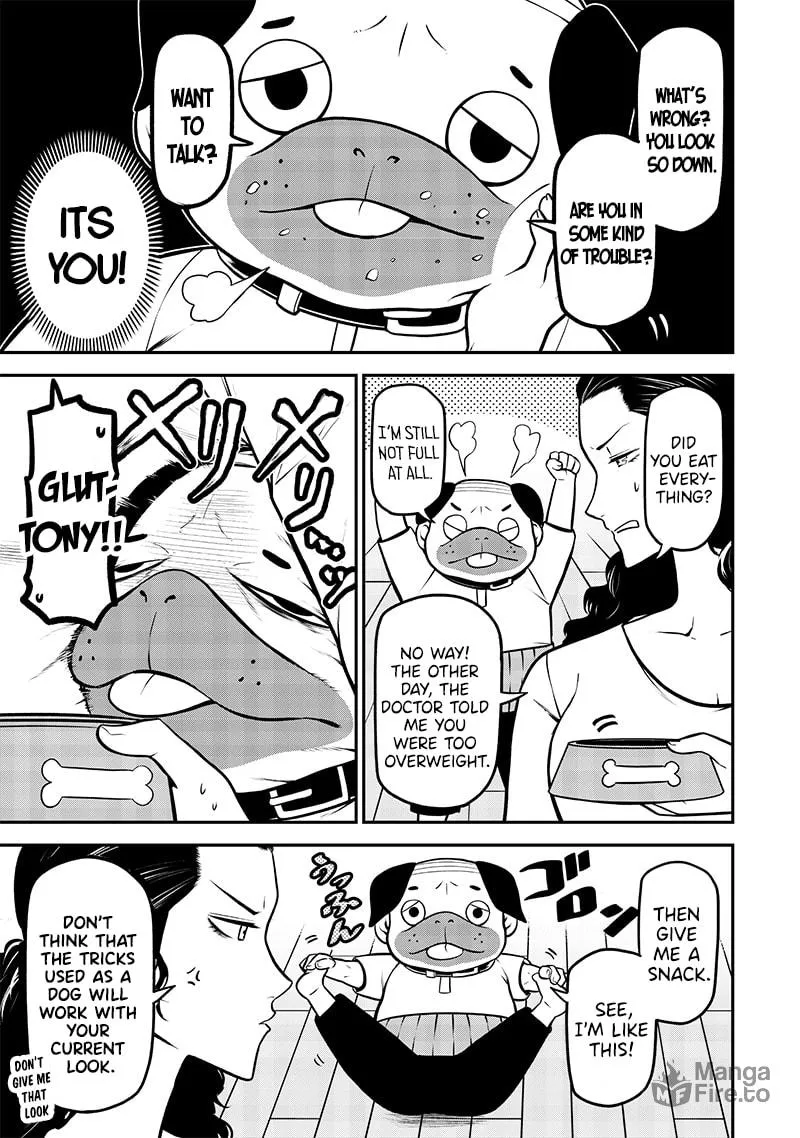 Read My dog becomes a human chapter 30 image 8 on Lezhin