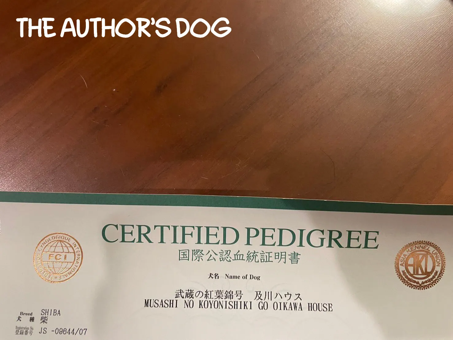 Read My dog becomes a human chapter 32.5 image 2 on Lezhin
