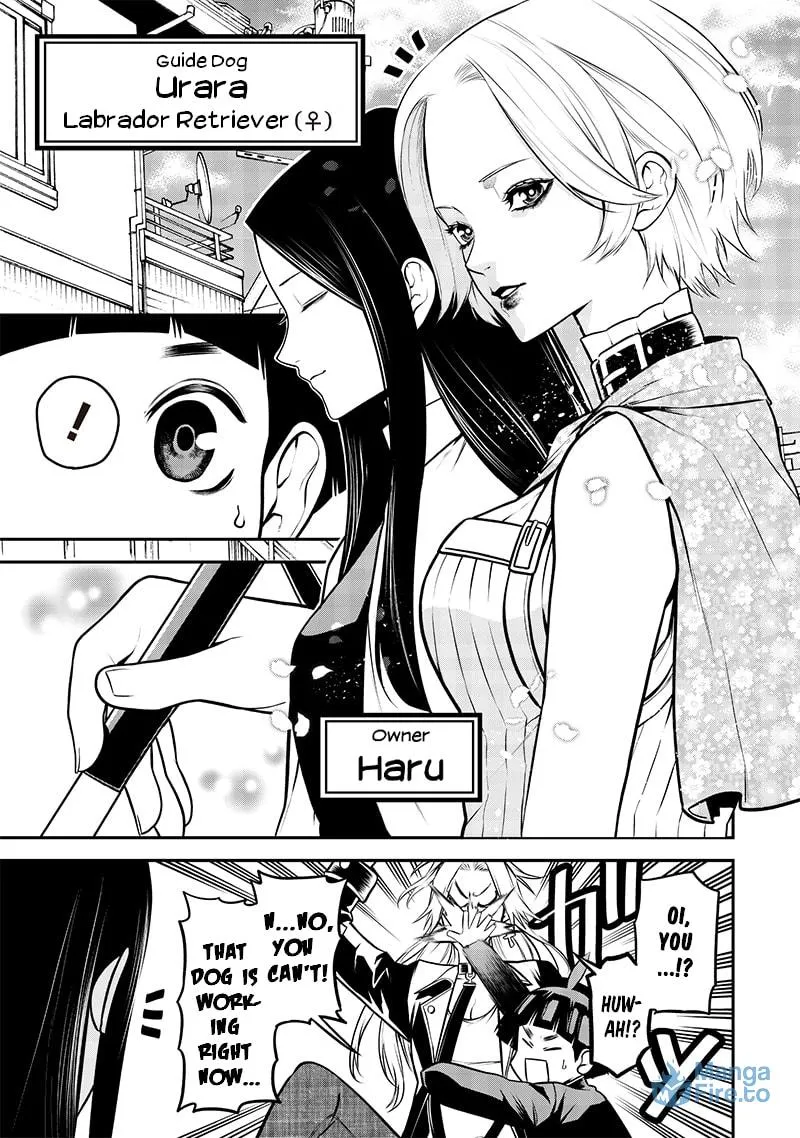 Read My dog becomes a human chapter 32 image 2 on Lezhin