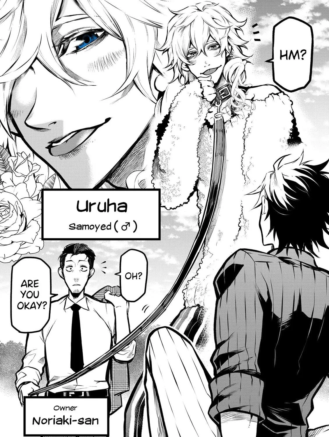 Read My dog becomes a human chapter 5 image 4 on Lezhin
