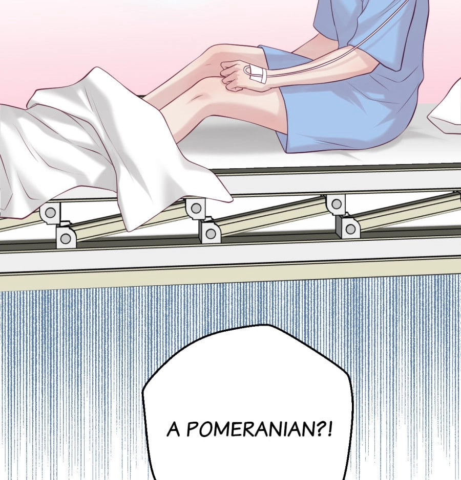 My Dragon Girlfriend Chapter 518 page 13 - 