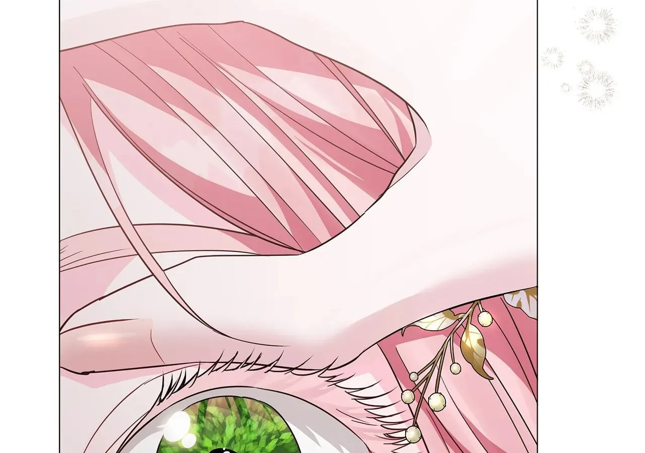 My Evil Husband Is Obsessed With the Wrong Person Chapter 17 page 192 - 