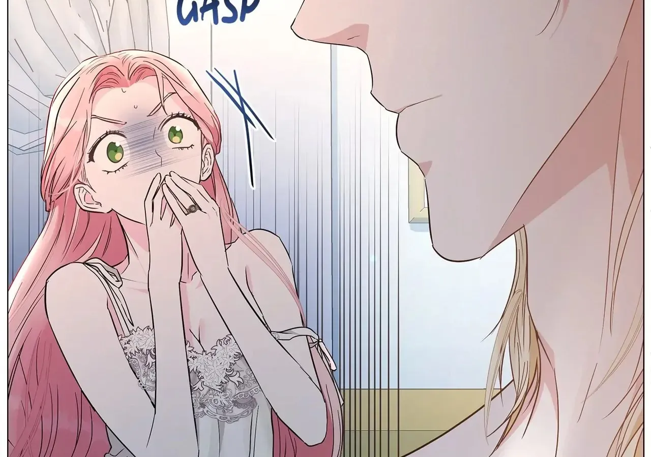 My Evil Husband Is Obsessed With the Wrong Person Chapter 3 page 17 - 