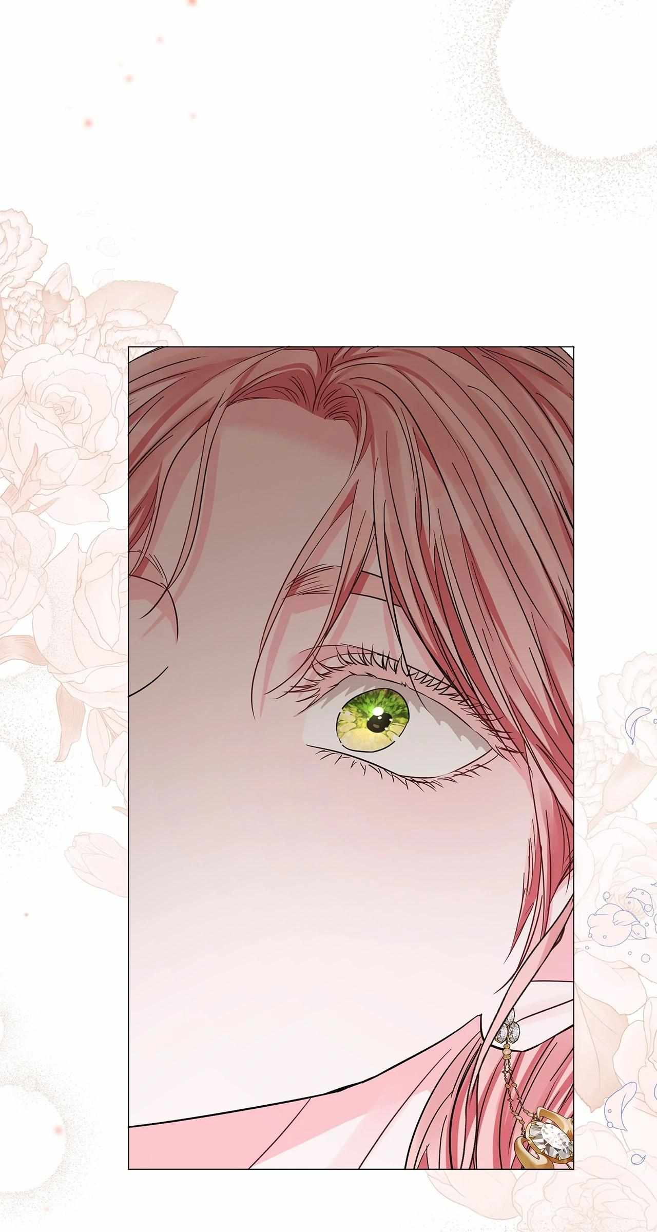 My Evil Husband Is Obsessed With the Wrong Person Chapter 35 page 107 - 