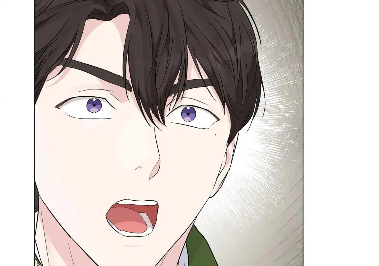 My Evil Husband Is Obsessed With the Wrong Person Chapter 4 page 164 - 