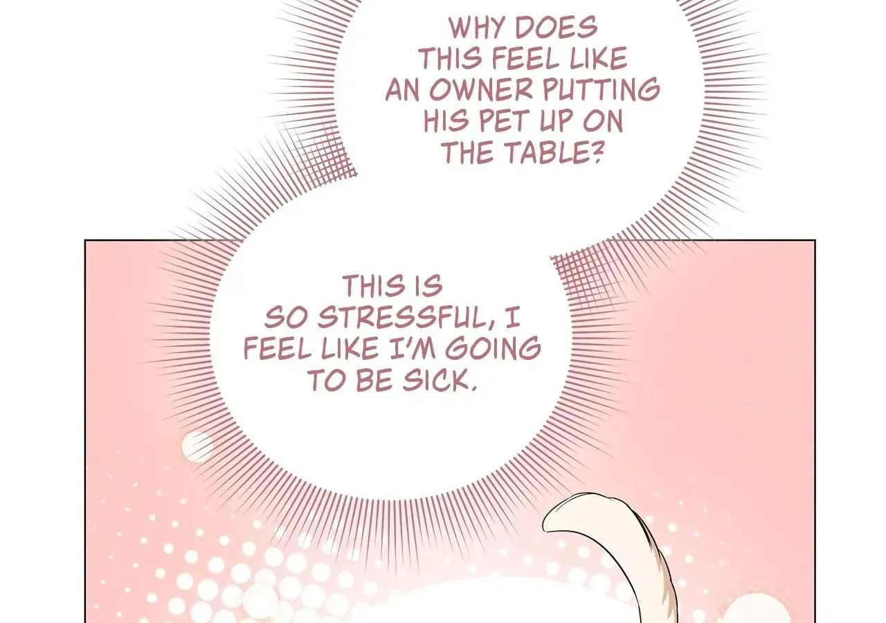 My Evil Husband Is Obsessed With the Wrong Person Chapter 5 page 150 - 