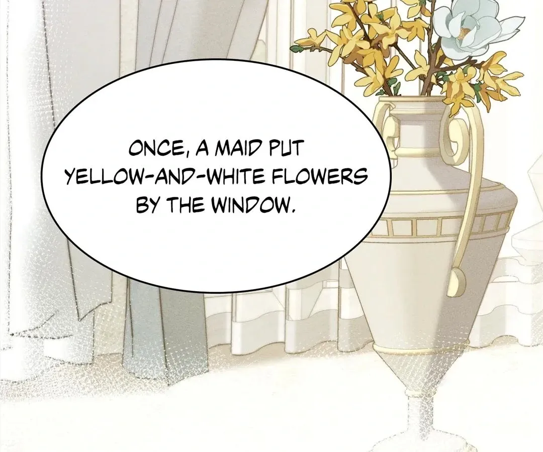 Read My Ex, We Meet Again chapter 31 image 80 on Lezhin