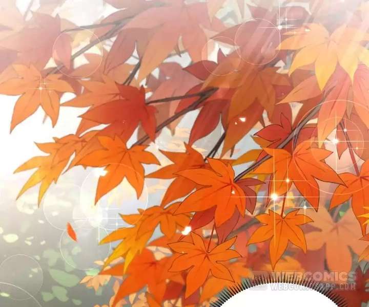 Read My Ex, We Meet Again chapter 51 image 2 on Lezhin
