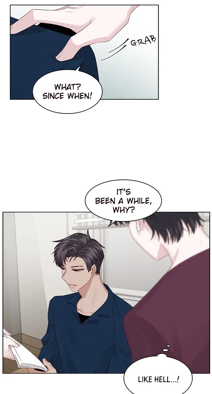 My Exes Fell for Me Chapter 16 page 4 - 