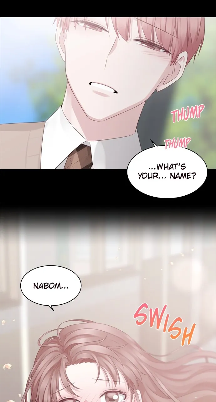 My Exes Fell for Me Chapter 21 page 37 - 