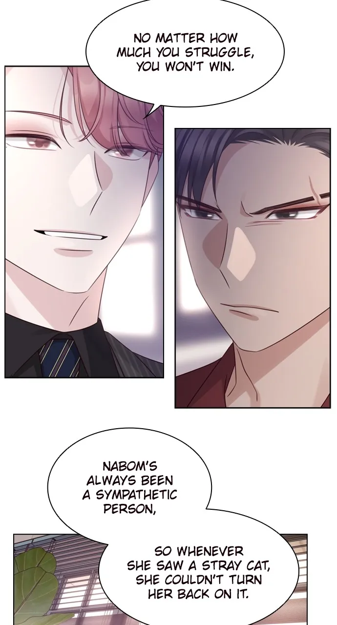 My Exes Fell for Me Chapter 49 page 8 - 