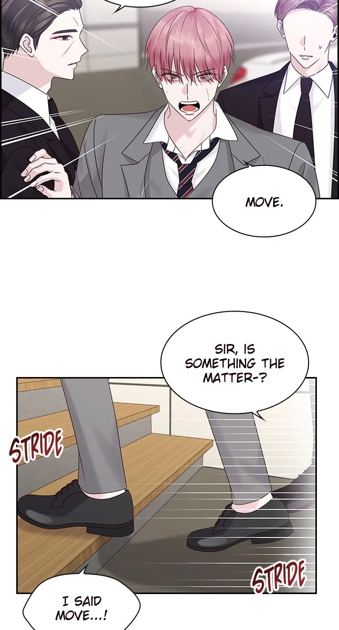 My Exes Fell for Me Chapter 85 page 4 - 