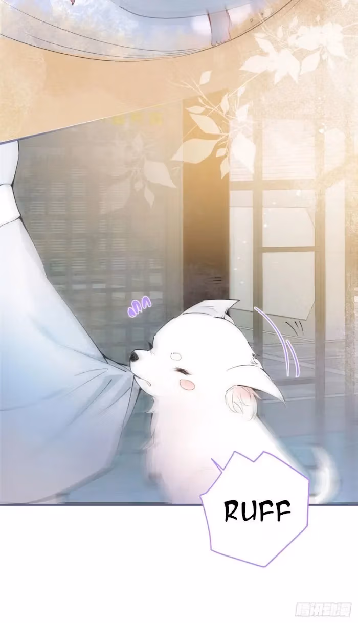 Read My Five Prominent Daddies chapter 1 image 55 on Lezhin