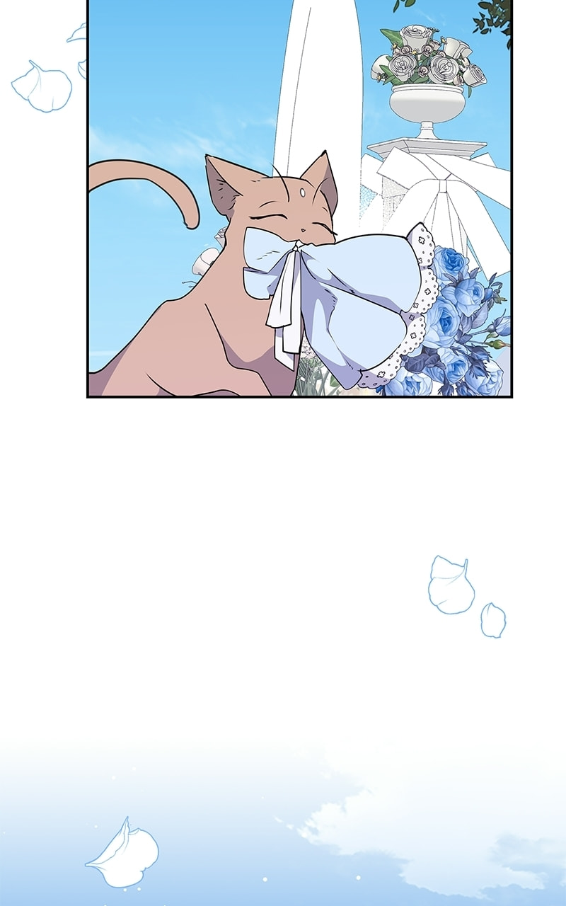 Read My Gently Raised Beast chapter 9.1 image 68 on Lezhin