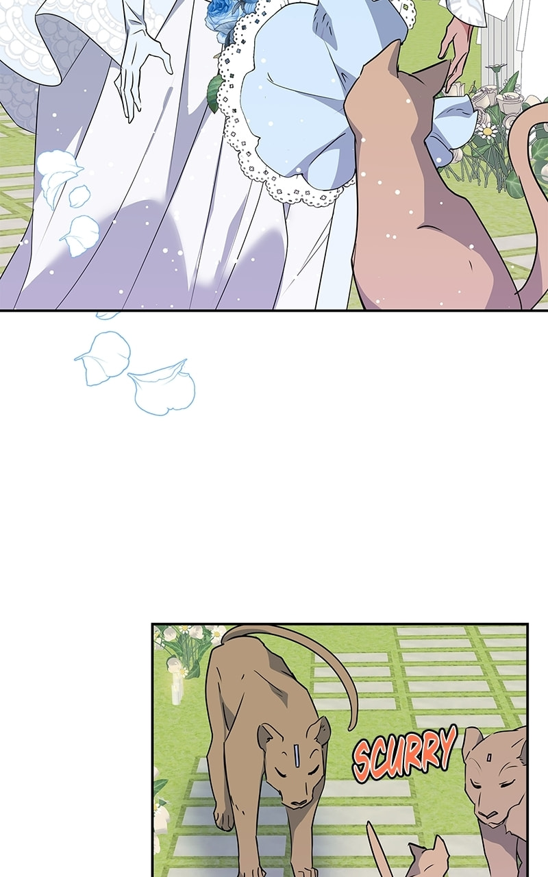 Read My Gently Raised Beast chapter 9.1 image 70 on Lezhin
