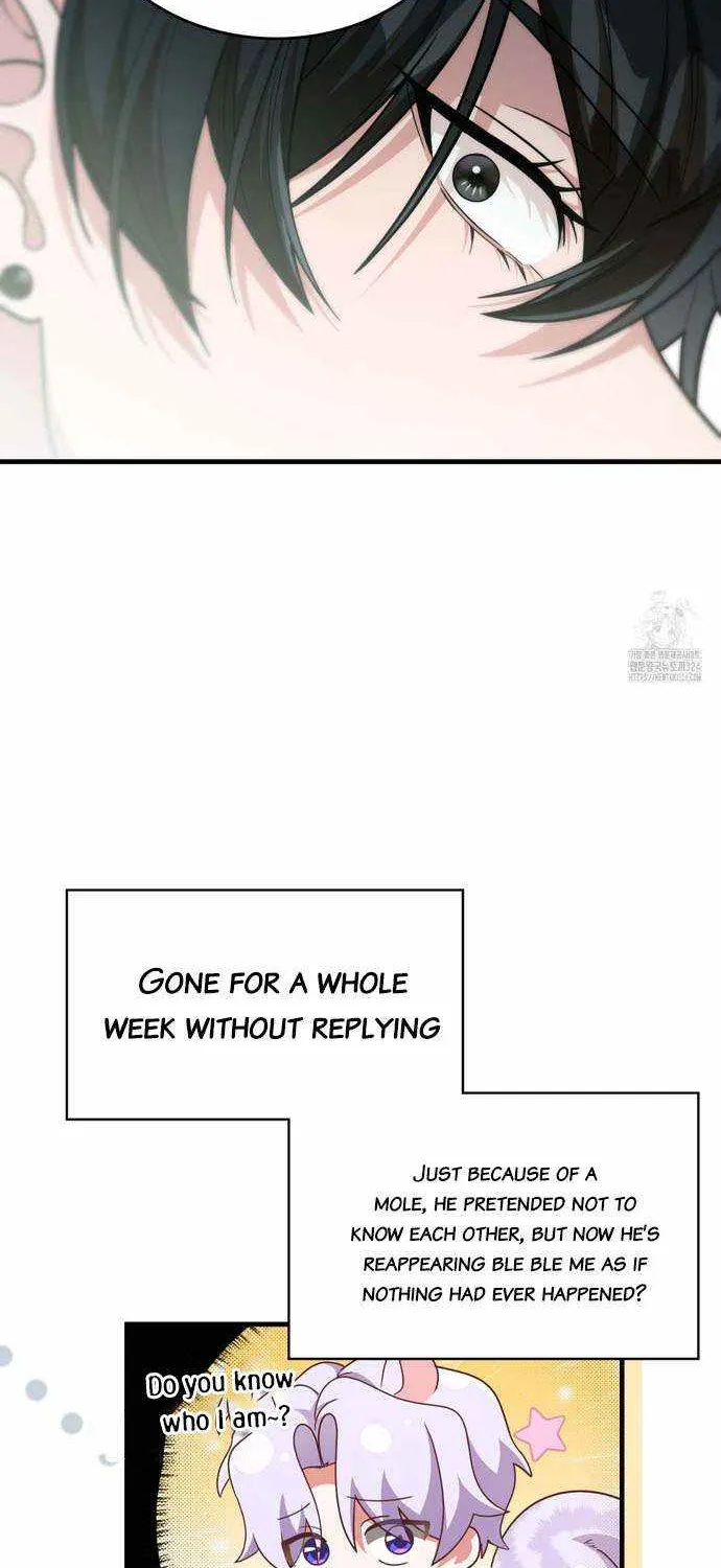 Read My Guildmate Next Door chapter 37 image 12 on Lezhin