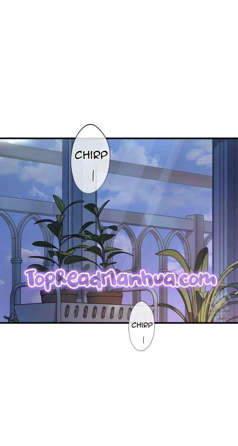 Read My Guildmate Next Door chapter 43 image 64 on Lezhin