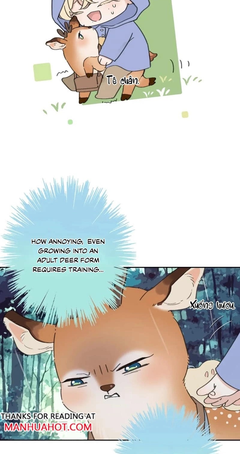 My Heart Is Pounding Chapter 22 page 45 - 