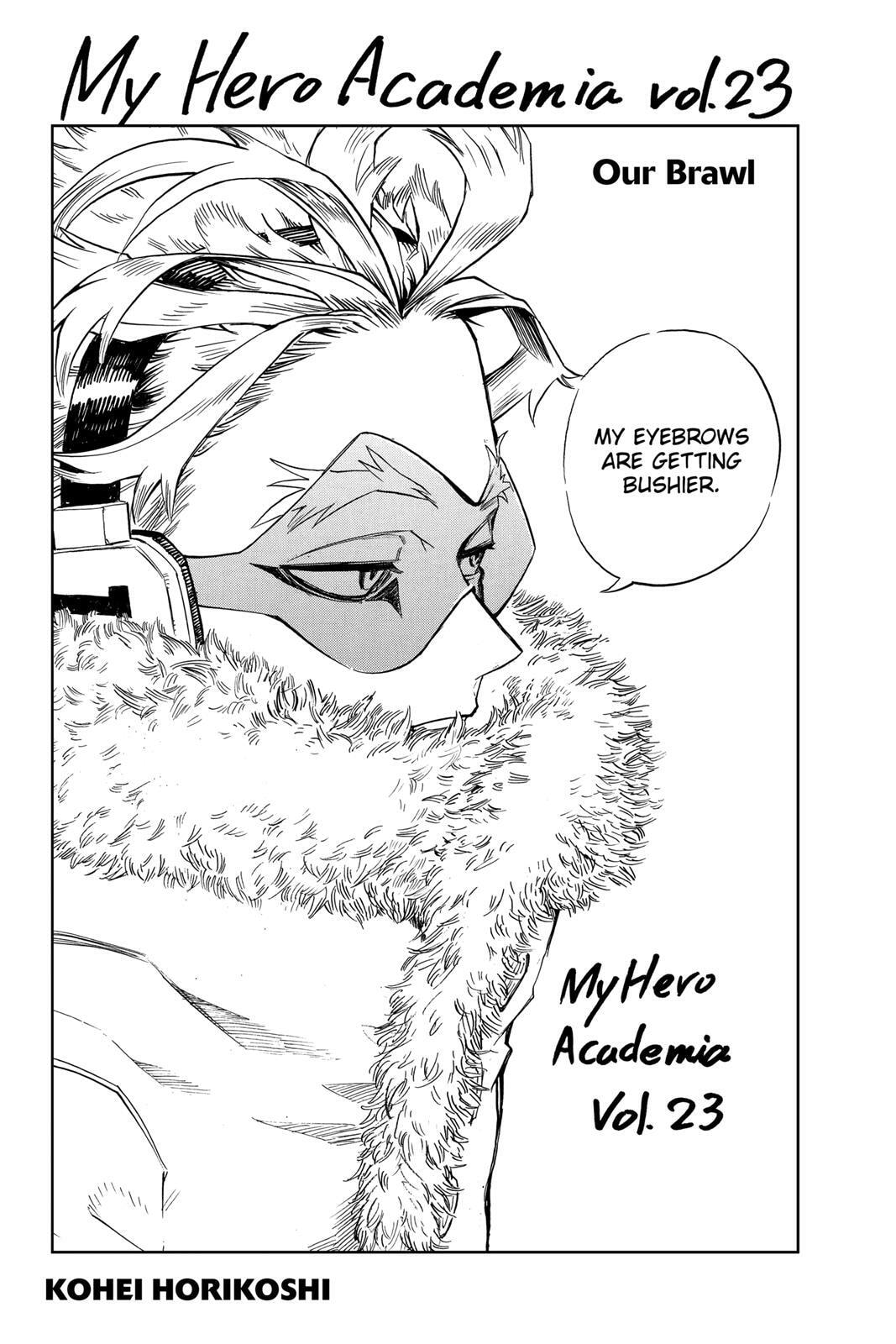 Read My Hero Academia (Colored) chapter 213 image 3 on Lezhin