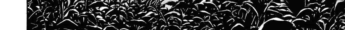 Read My Home Hero chapter 68 image 15 on Lezhin