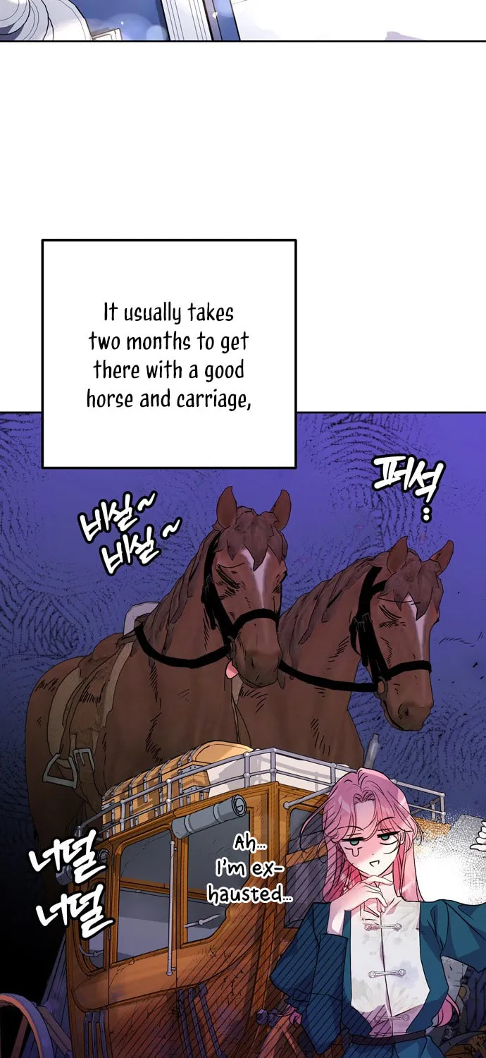 Read My Husband Changes Every Night chapter 1 image 83 on Lezhin
