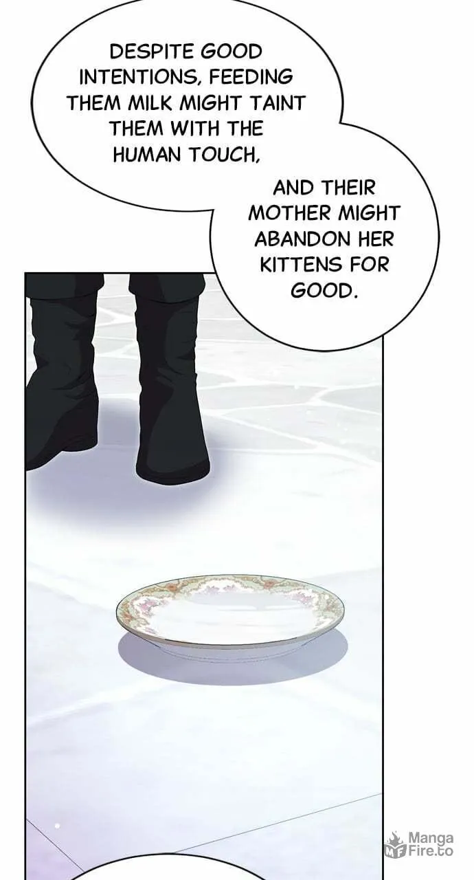 Read My Husband Changes Every Night chapter 30 image 83 on Lezhin