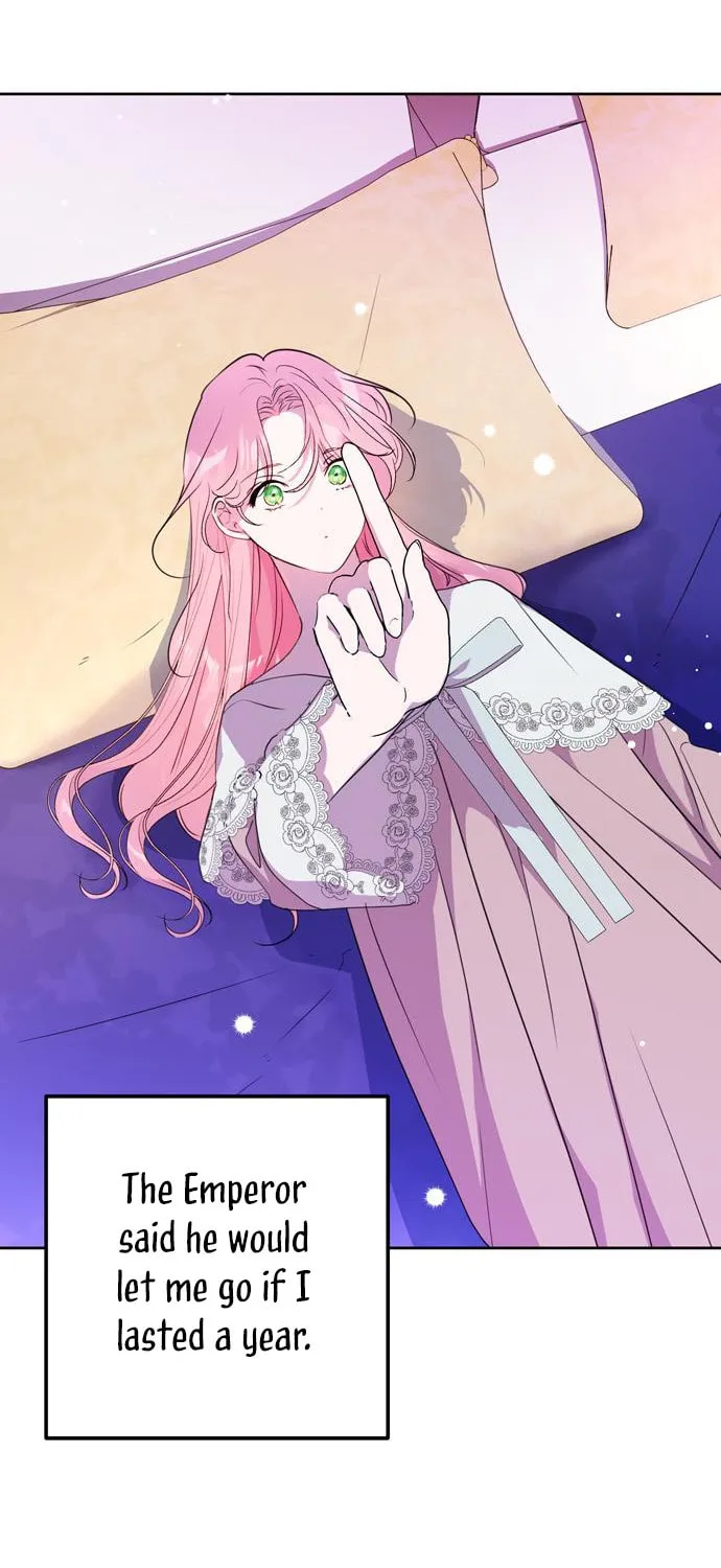 Read My Husband Changes Every Night chapter 4 image 74 on Lezhin