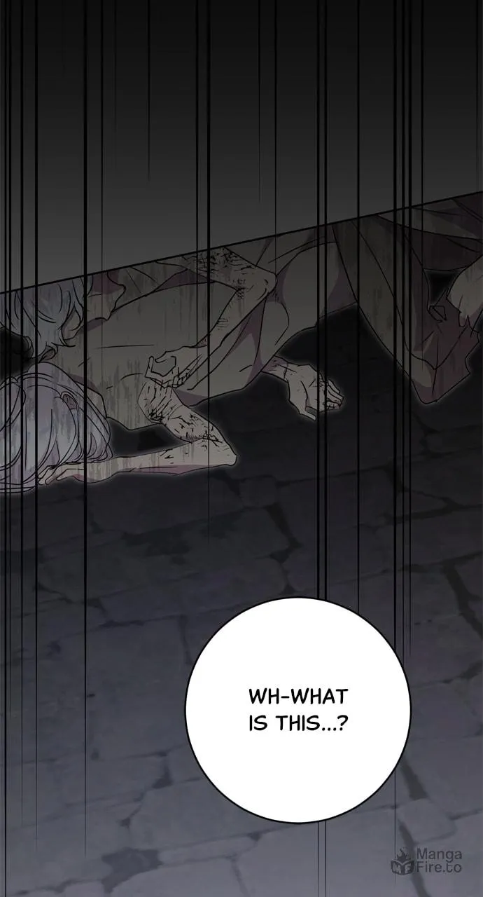 Read My Husband Changes Every Night chapter 43 image 94 on Lezhin