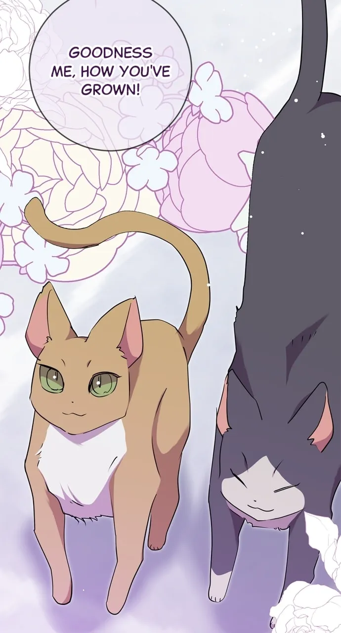 Read My Husband Changes Every Night chapter 51 image 42 on Lezhin