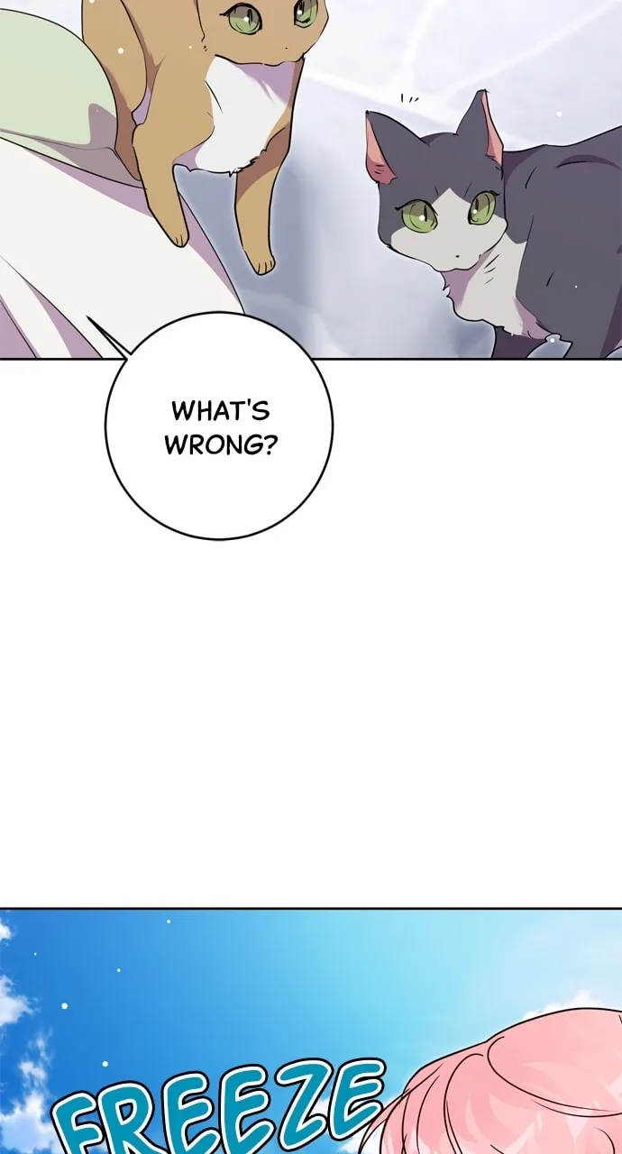Read My Husband Changes Every Night chapter 51 image 45 on Lezhin