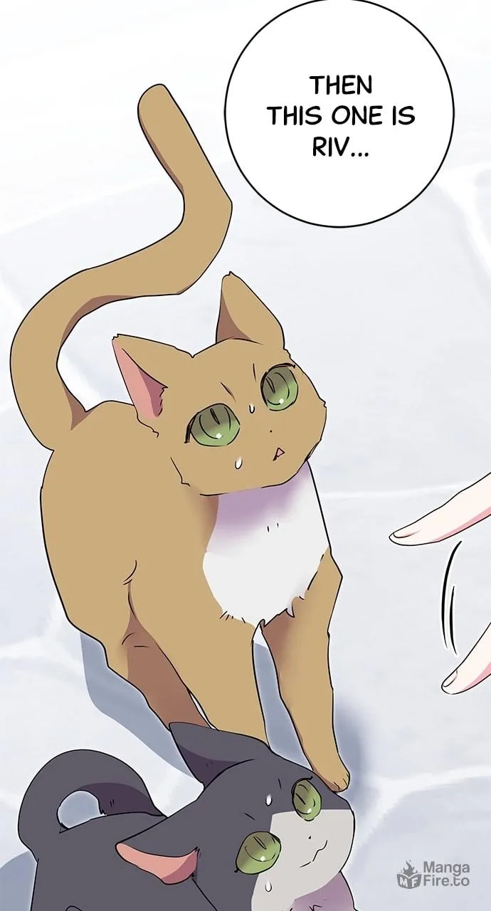 Read My Husband Changes Every Night chapter 51 image 62 on Lezhin