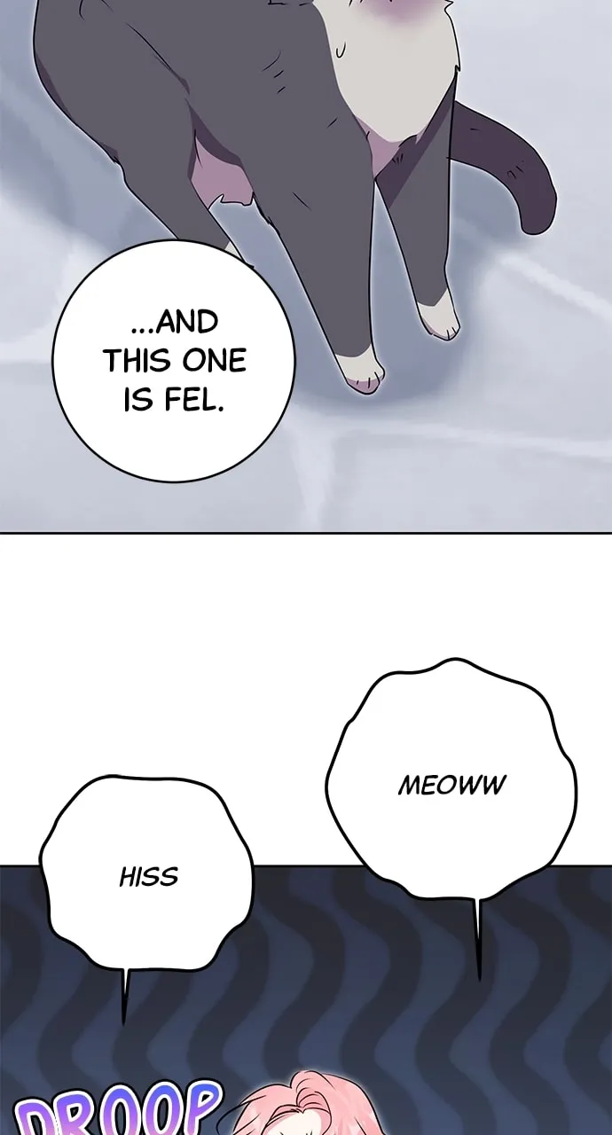 Read My Husband Changes Every Night chapter 51 image 63 on Lezhin