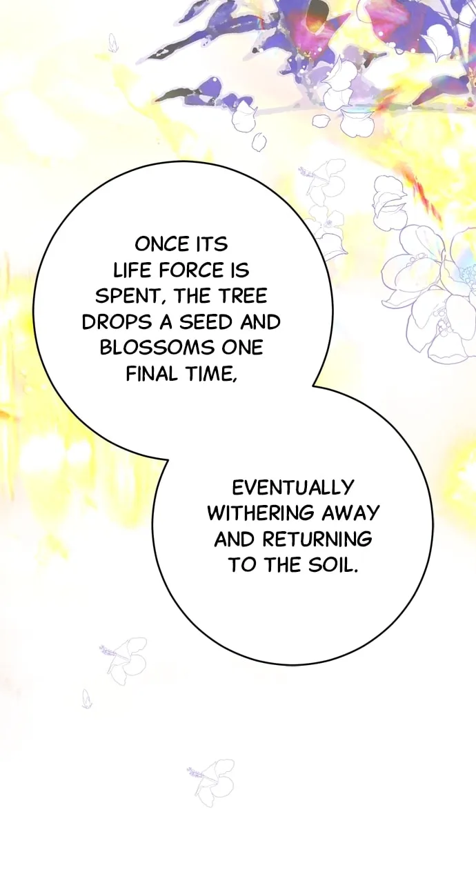 Read My Husband Changes Every Night chapter 52 image 13 on Lezhin