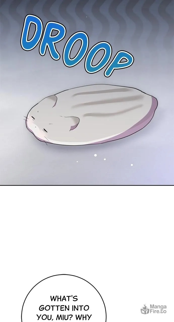 Read My Husband Changes Every Night chapter 62 image 65 on Lezhin