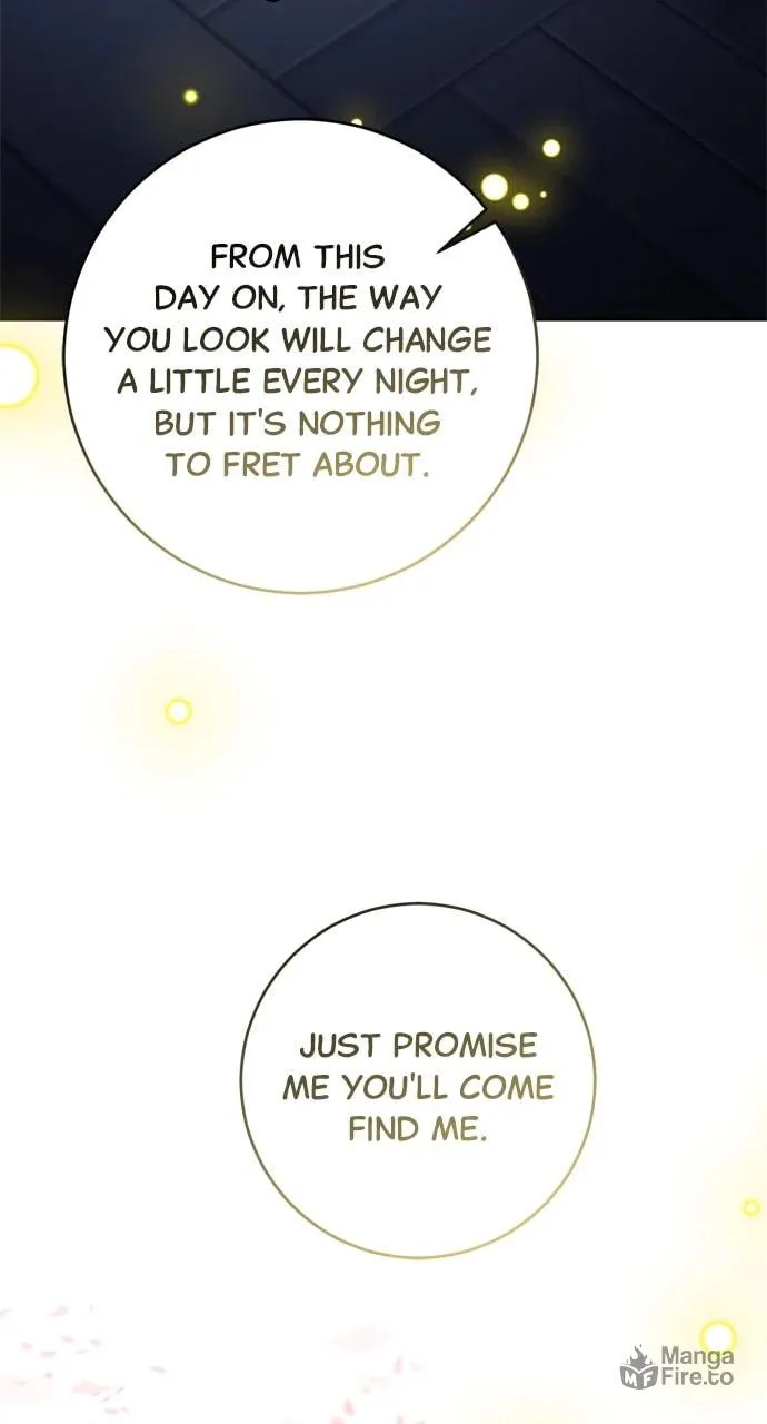 Read My Husband Changes Every Night chapter 88 image 23 on Lezhin