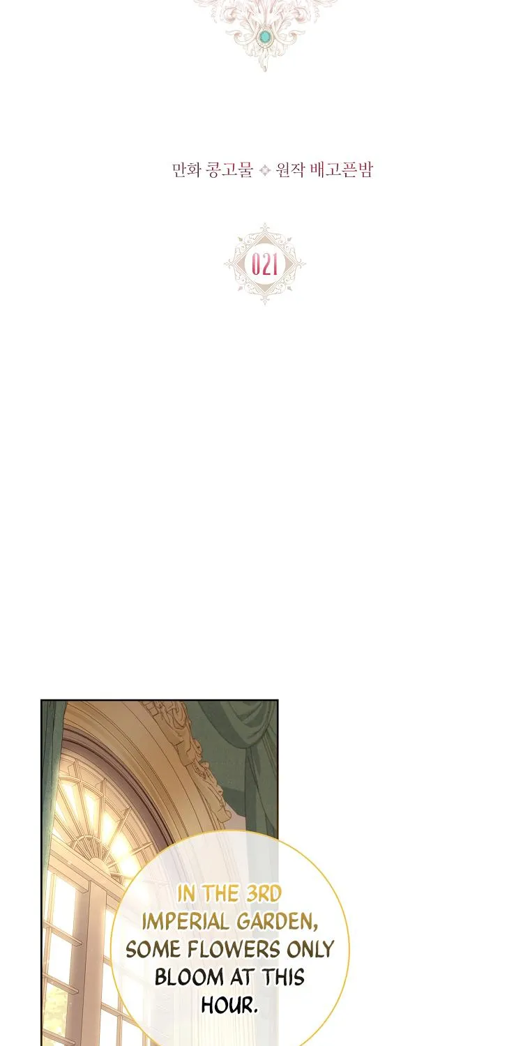 My Husband Is My Choice Chapter 21 page 17 - 