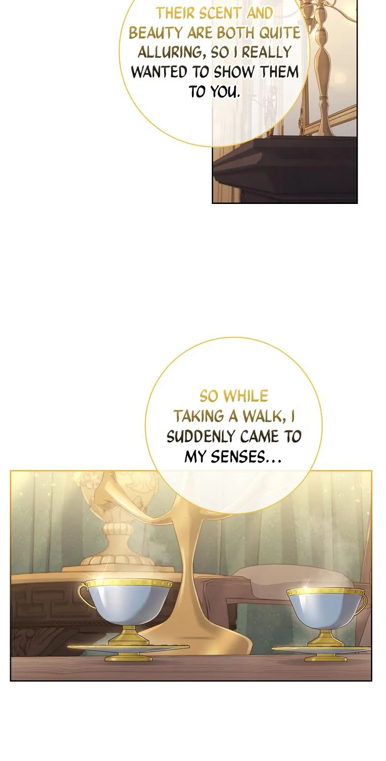 My Husband Is My Choice Chapter 21 page 19 - 