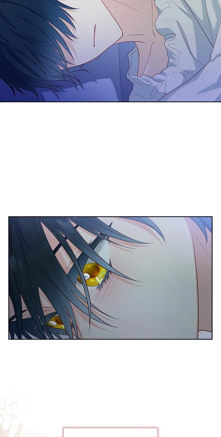 My Husband Is My Choice Chapter 21 page 85 - 